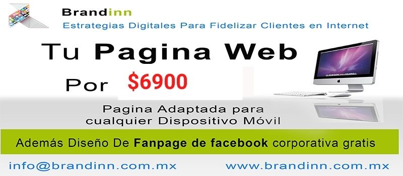 brandinn marketing digital